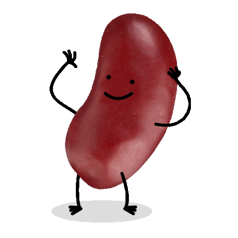 Gezond Leven vzw Sticker