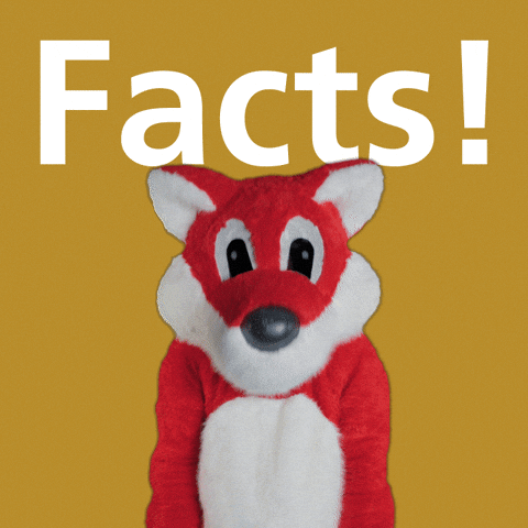 Happy Fox GIF by UBS Schweiz