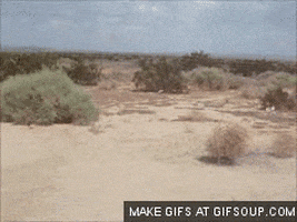 200_s.gif