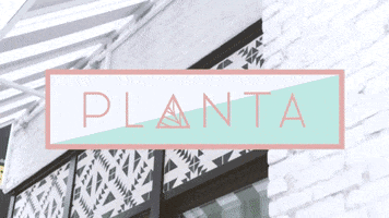 Plant Based Diet Planta GIF by Visual Smugglers