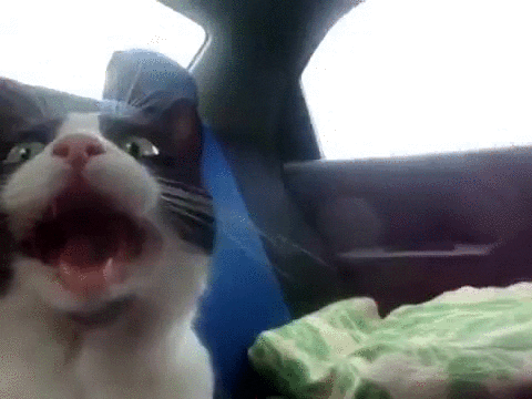 &ETH;&ETH;&frac12;&ETH;&cedil;&ETH;&frac14;&ETH;&cedil;&Ntilde;&ETH;&frac34;&ETH;&sup2;&ETH;&deg;&ETH;&frac12;&ETH;&frac12;&Ntilde;&ETH;&sup1; GIF