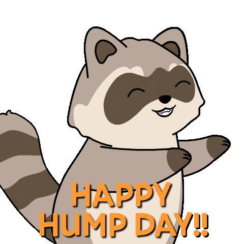 Wednesday Raccoon Sticker by Ordinary Frends