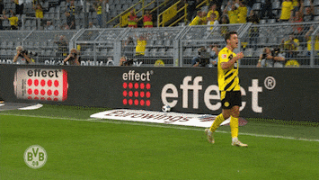 Bvb 09 Slide GIF by Borussia Dortmund