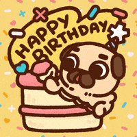 Happy Birthday Dog GIF by Puglie Pug