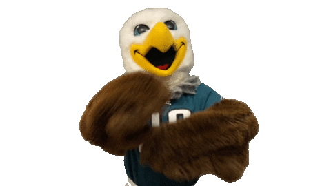 Happy Fly Eagles Fly Sticker by Philadelphia Eagles for iOS & Android