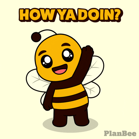 Whats Up Hello GIF by Plan Bee Studios