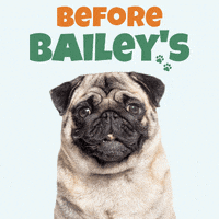 Pug Bailey GIF by Bailey's CBD