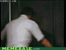 giphy.gif
