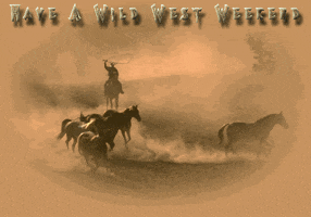 tumbleweed gif wild west