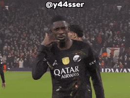 France Celebration GIF