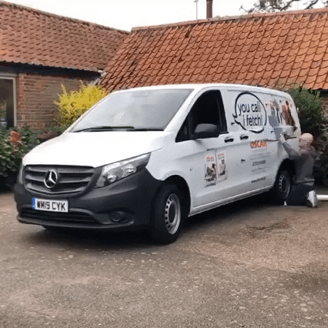 Oscarpetfoodsnorfolkbroads GIF