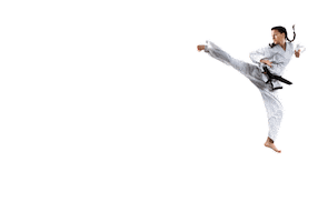 Verve Taekwondo Sticker