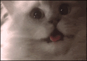 200_s.gif