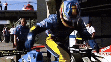 Fernandoalonso Wentpeo Formula1 F1 Alonso GIF