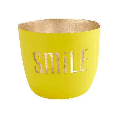 Gift Interior Sticker By Gif