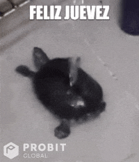 Feliz-noche-buena GIFs - Get the best GIF on GIPHY Feliz-noche-buena GIFs - Get the best GIF on GIPHY