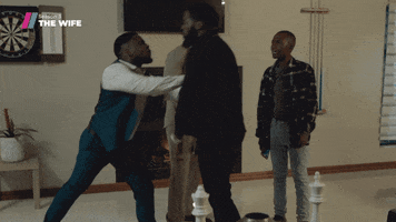 Brothers Fighting GIF by Showmax