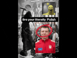 Poland Polish GIF