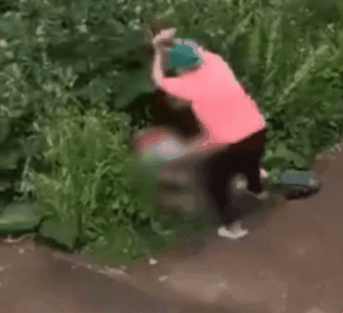Animated GIF - Find & Share on GIPHY
