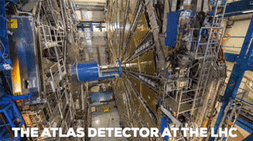 Atlas Lhc GIF by CERN