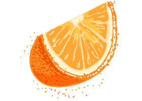 Orange County Florida Sticker by ocfl