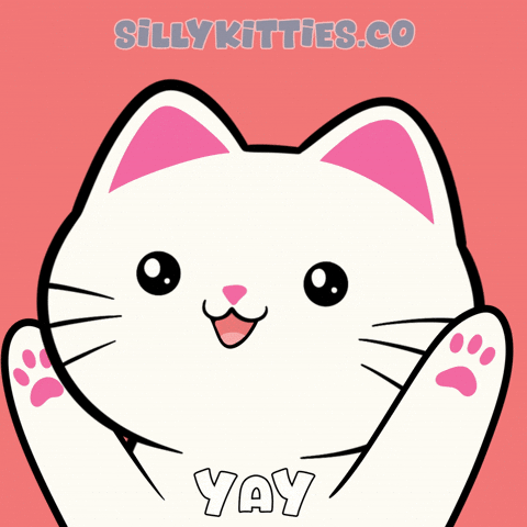 Happy Cat GIF by Silly Kitties