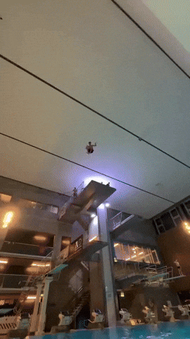 Alivase GIF