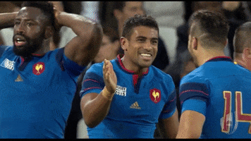 France Rugby Hug GIF by Rugby World Cup