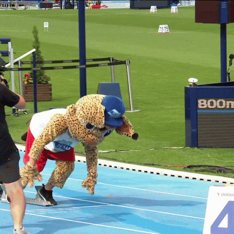 Sport Running Gif By European Athletics Find Share On Giphy