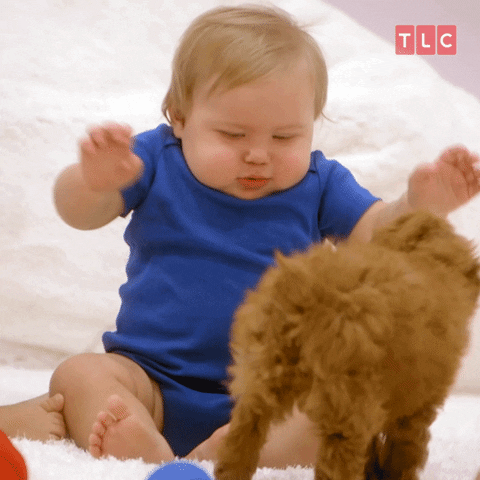 Baby Puppy GIF by TLC