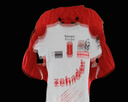 Team Lion GIF by Red Lions Frauenfeld