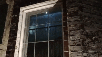 200.gif?cid=fc005b08d1a6fdd80c136229744115ad781587a80a206013&rid=200.gif&ct=g