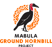 Mabula Ground Hornbill Project Sticker