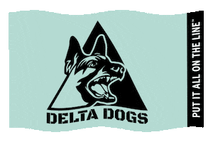 Flag Delta Sticker by Southeast Lineman Training Center