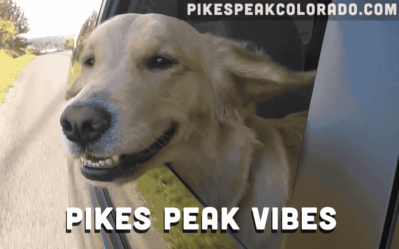 Driving Road Trip GIF by Drive Pikes Peak Find & Share on GIPHY