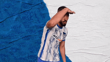 Bundesliga Berlin GIF by Hertha BSC