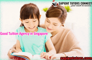 Home Tuition Singapore GIF