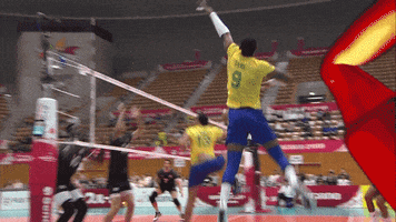 Run Save GIF by Volleyball World