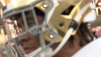 College Football Ndfb GIF by Notre Dame Fighting Irish