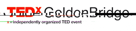Ted Talk Event GIF by TEDxGoldenBridge