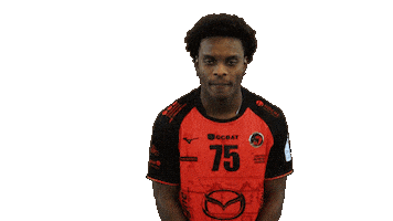 Handball Dragon Sticker by HCCA