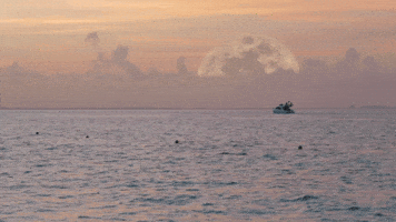 Surprise Monster GIF by Super Simple