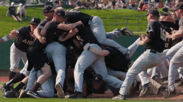 Dogpile GIFs - Get the best GIF on GIPHY