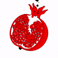 Red Fruit Art GIF by xavieralopez