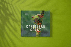 Ojalá Ediciones GIF