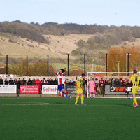 Non League Dive GIF by Dorking Wanderers Football Club