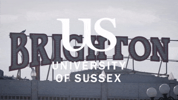 sussexuni brighton university of sussex heysussex uni of sussex GIF