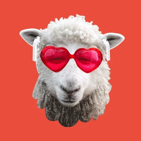 GIF of a sheep on a red background with red heart-shaped glasses popping out