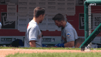 Lion King Sport GIF by New York Mets