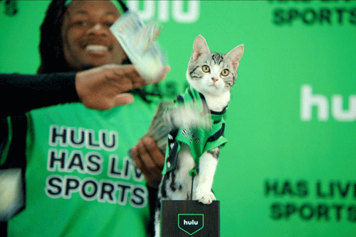 cats hulu